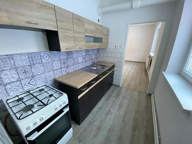 Pronájem bytu 1+1, Město Albrechtice, 37 m2