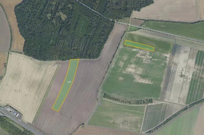 Prodej pole, Velenka, 52885 m2