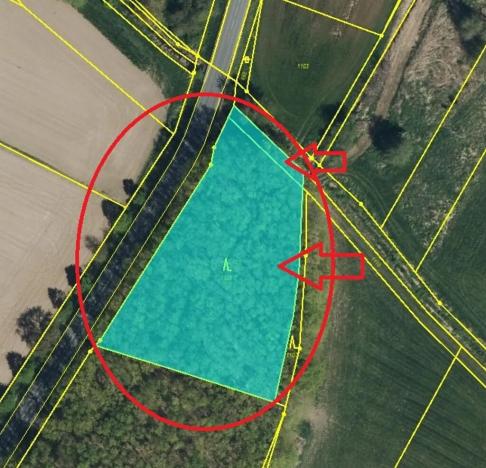 Prodej lesa, Libišany, 3737 m2