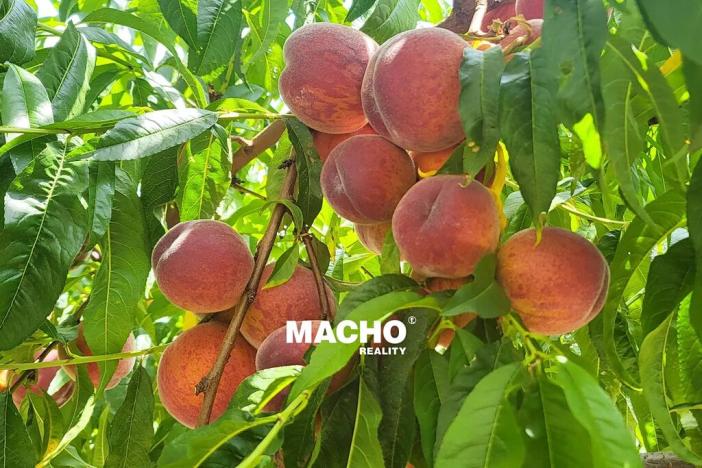 Prodej rodinného domu, Řitka, U vodojemu, 333 m2