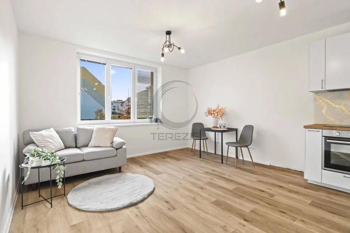 Prodej bytu 4+kk, Mladá Boleslav, mjr. Frymla, 105 m2