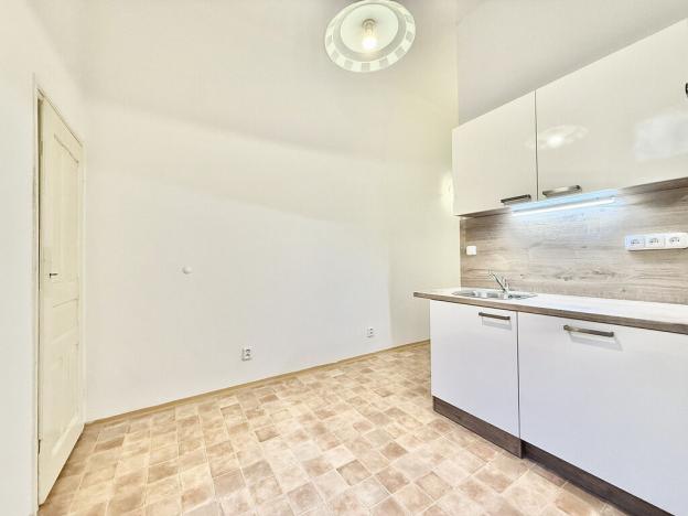 Pronájem bytu 1+1, Praha - Vinohrady, Mánesova, 48 m2