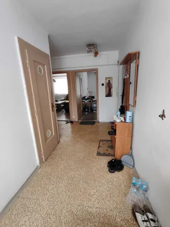 Prodej bytu 3+1, Ostrov, Seifertova, 60 m2