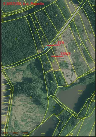 Prodej podílu lesa, Popelín, 10176 m2