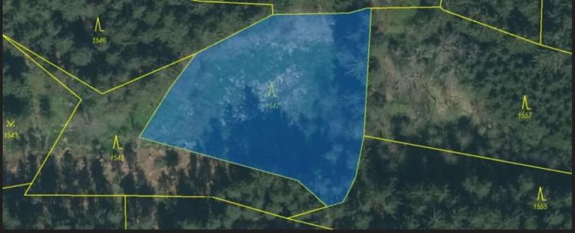 Prodej podílu lesa, Smilovy Hory, 2675 m2