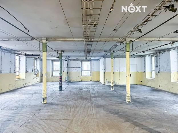 Pronájem výrobních prostor, Dětřichov, 6890 m2