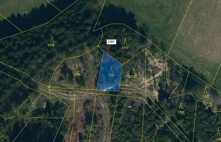 Dražba lesa, Žirovnice, 288 m2