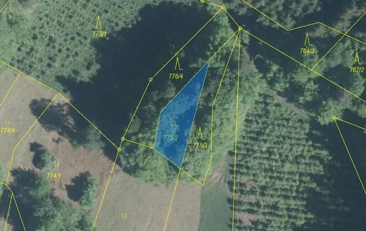 Dražba lesa, Lačnov, 281 m2