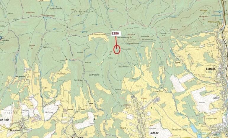 Dražba lesa, Lačnov, 2442 m2