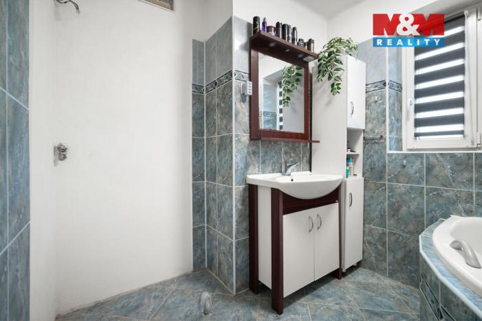 Prodej rodinného domu, Nechanice - Staré Nechanice, 287 m2