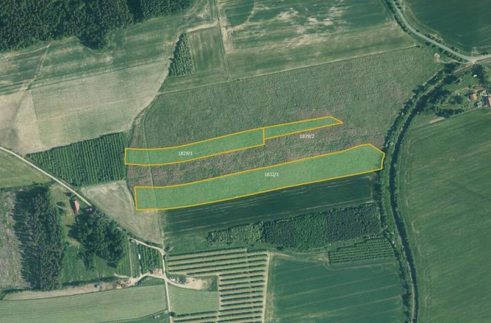 Prodej sadu/vinice, Radnice, 34791 m2