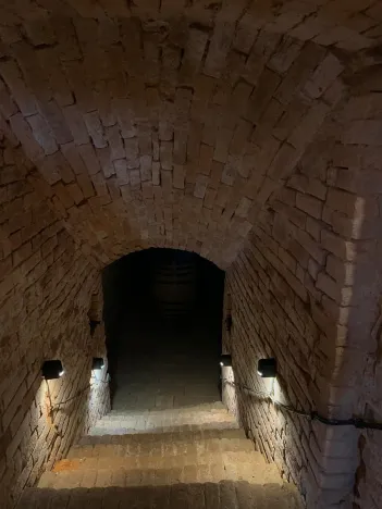 Prodej vinného sklepa, Čejkovice, 66 m2