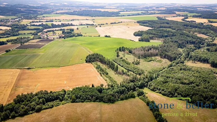 Prodej lesa, Zvěstov, 45954 m2