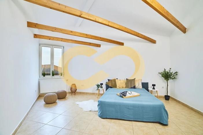 Prodej rodinného domu, Planá nad Lužnicí, Harrachova, 324 m2