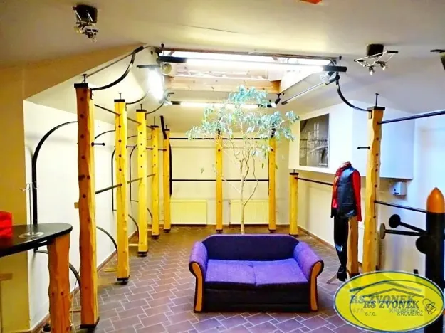 Pronájem obchodního prostoru, Olomouc, Ostružnická, 149 m2