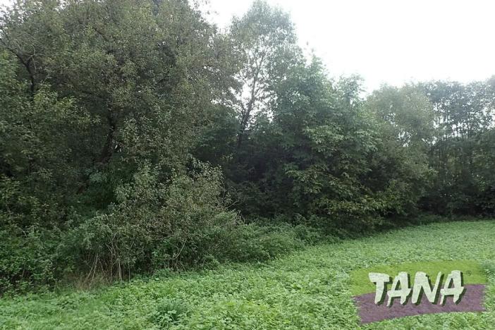 Prodej pozemku pro bydlení, Mladějov, 382 m2