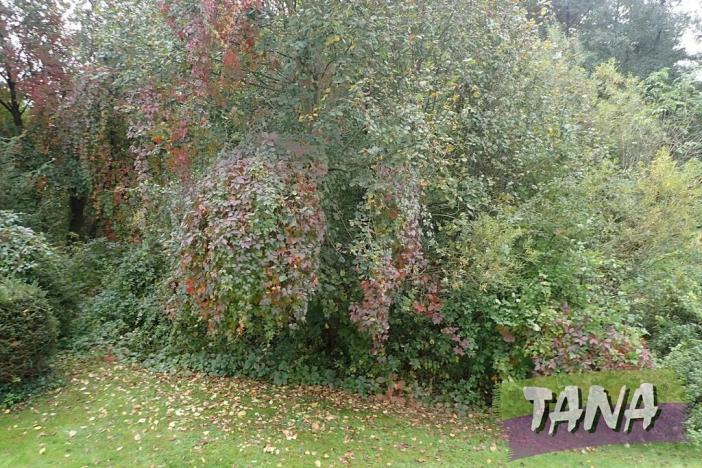 Prodej pozemku pro bydlení, Mladějov, 382 m2