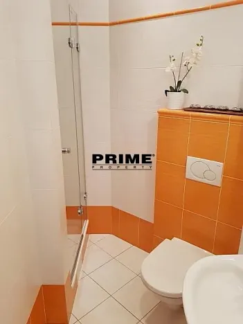 Pronájem bytu 1+kk, Praha - Staré Město, Martinská, 32 m2