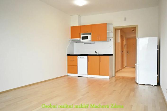 Pronájem bytu 1+kk, Praha - Žižkov, Olšanská, 33 m2