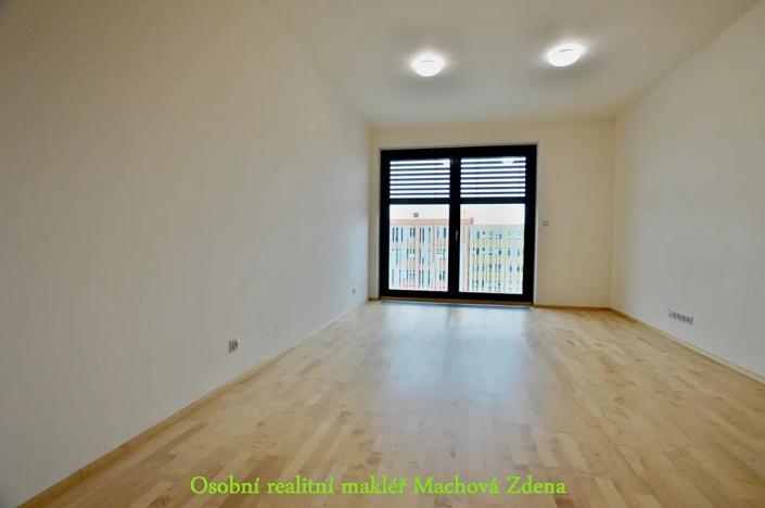 Pronájem bytu 1+kk, Praha - Žižkov, Olšanská, 33 m2