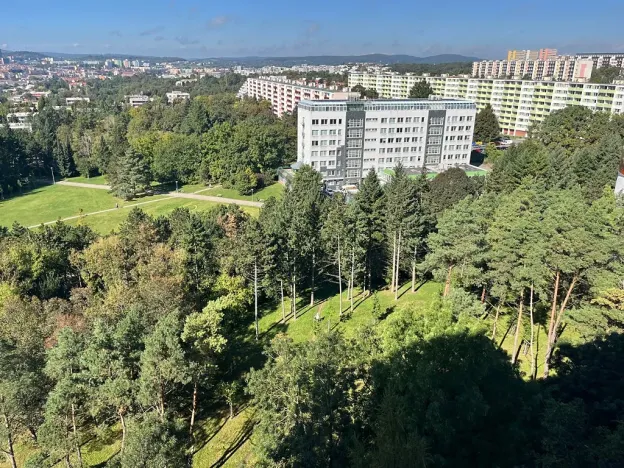 Pronájem bytu 1+kk, Brno, Halasovo náměstí, 21 m2