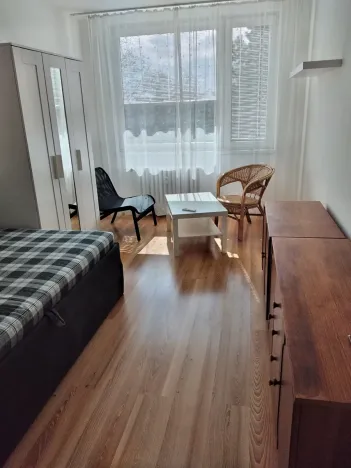 Pronájem bytu 1+kk, Praha - Liboc, Navigátorů, 20 m2