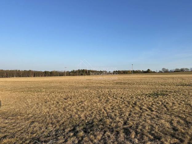 Prodej pole, Hvozdec, 2887 m2