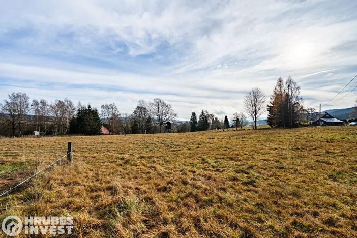 Prodej pozemku pro bydlení, Orlické Záhoří, 4018 m2
