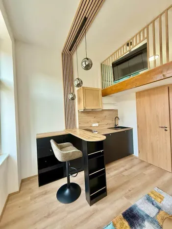 Pronájem bytu 1+kk, Praha, Sokolská, 17 m2