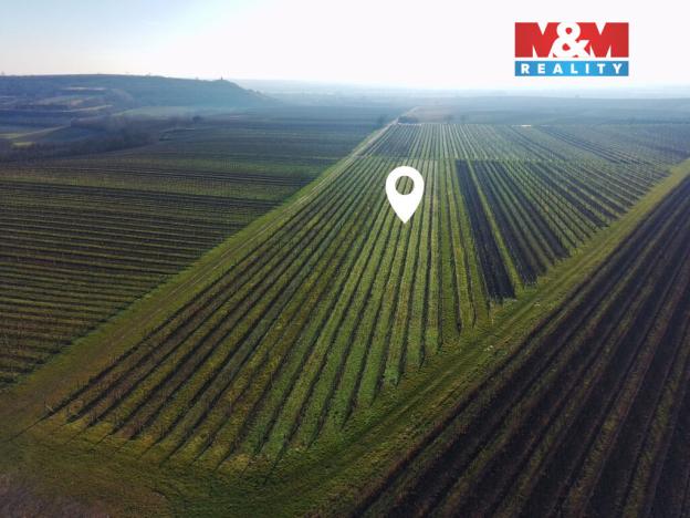 Prodej pole, Velké Bílovice, 3600 m2