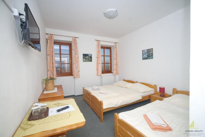 Prodej ubytování, Horní Věstonice, 350 m2