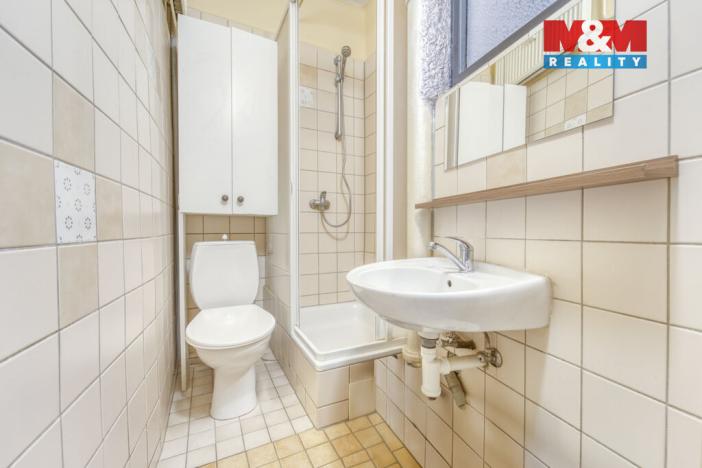 Pronájem bytu 1+kk, Plzeň - Východní Předměstí, Šafaříkovy sady, 23 m2