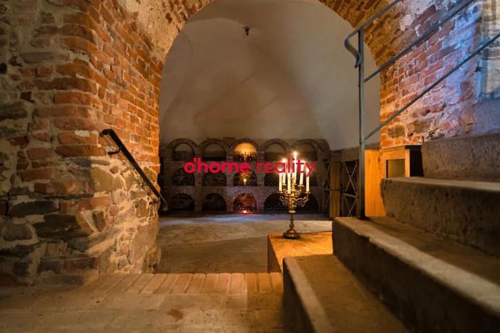 Prodej domu, Luka nad Jihlavou, Nádražní, 2812 m2