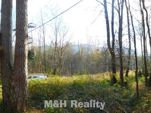 Prodej rodinného domu, Frýdlant nad Ostravicí, Podlesí, 36 m2