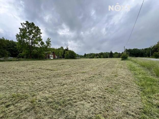 Pronájem pole, Doubrava, 7056 m2