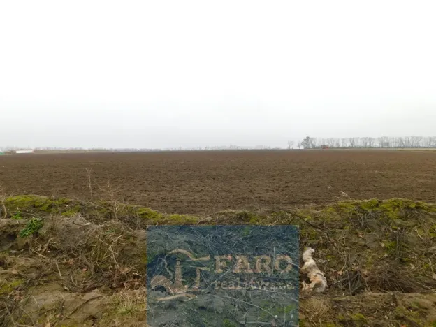 Prodej pole, Dyje, 8295 m2