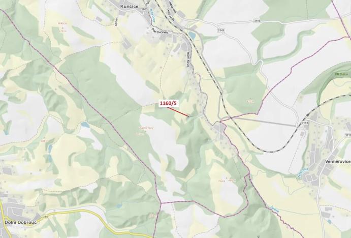 Dražba lesa, Letohrad, 282 m2