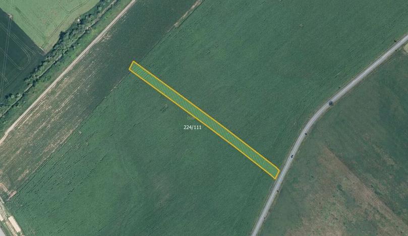 Prodej pole, Skoronice, 5446 m2