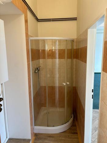 Pronájem bytu 1+1, Kladno, T. G. Masaryka, 66 m2