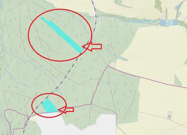 Prodej podílu lesa, Ledenice, 4462 m2