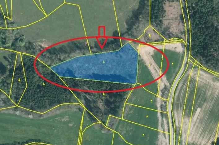 Prodej podílu lesa, Čížkov, 1076 m2