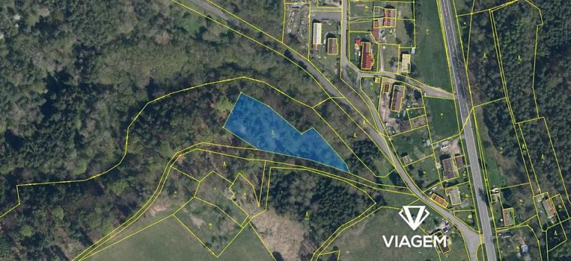 Prodej lesa, Dolní Krupá, 3736 m2