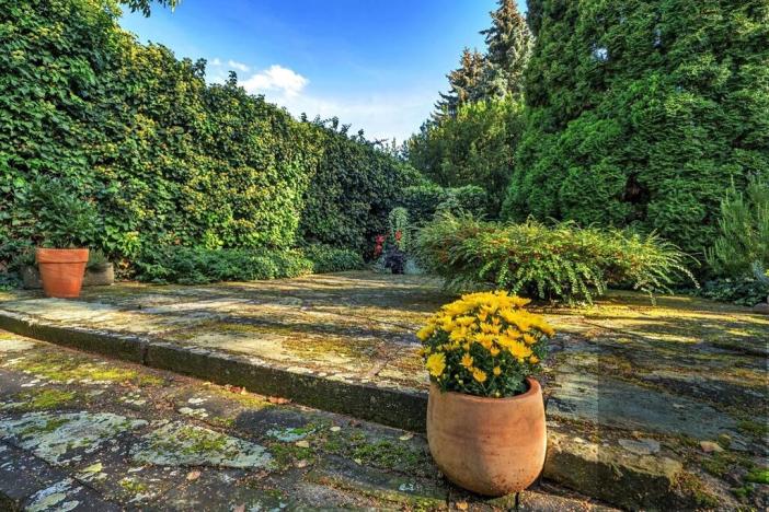 Prodej rodinného domu, Hradec Králové, Vlčkovická, 256 m2