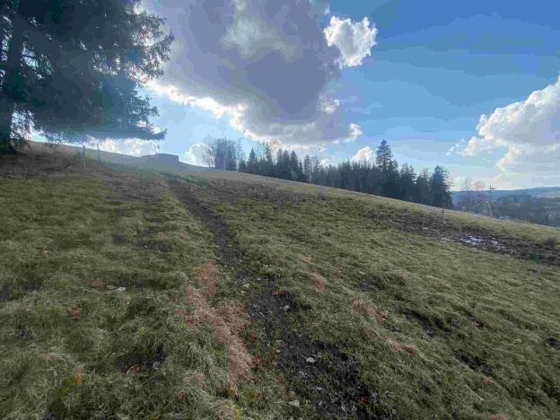 Prodej pole, Bartošovice v Orlických horách, 390 m2