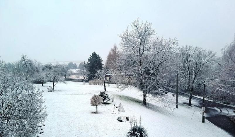 Prodej pozemku pro bydlení, Jeseník nad Odrou, 700 m2