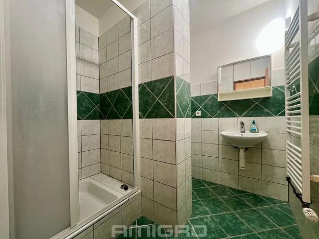 Pronájem bytu 2+kk, Brno, Poděbradova, 46 m2