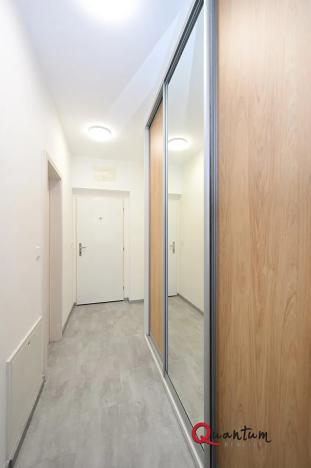 Pronájem bytu 2+kk, Praha, Remízková, 53 m2