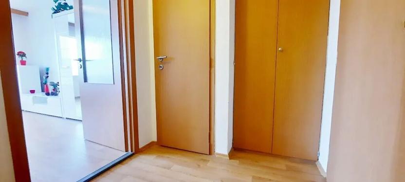 Pronájem bytu 1+kk, Brno, Sevastopolská, 38 m2