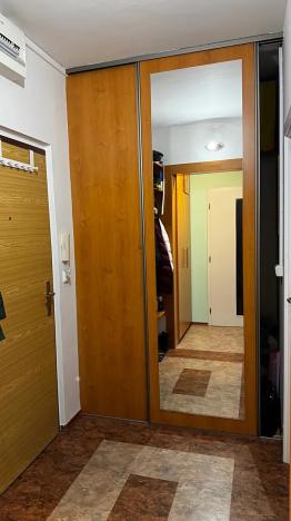 Prodej bytu 1+1, Hradec Králové, Milady Horákové, 47 m2