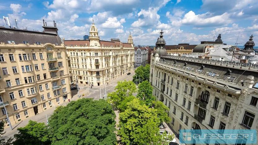 Pronájem bytu 1+1, Brno, Čápkova, 58 m2